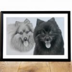 “Best Friends in Contrast.” A dual portrait of a black and white dog – side by side, showing how differences still make the perfect pair.
